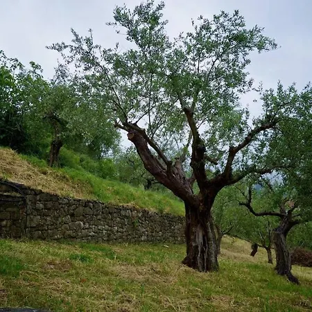 αρχοντικό Levantes Βίλα Καρύταινα