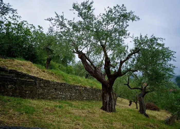 Levantes Mansion Villa Karítaina